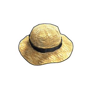 Farmer Straw Hat