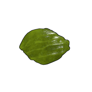Acid Rock
