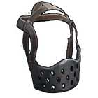 content image