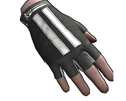 Training Gloves