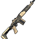 Desert Warrior