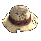 content image