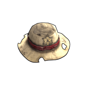 Cowboy Hat