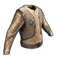 Cowboy Shirt in Rust