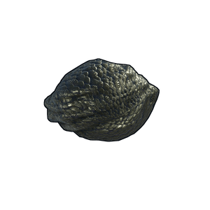 Dragon Egg