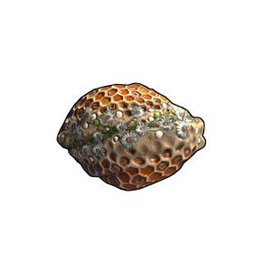 Honeycomb