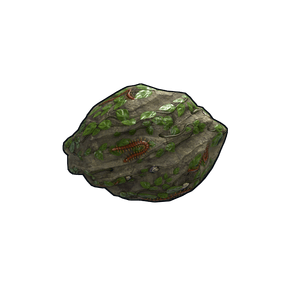 Swamp Rock