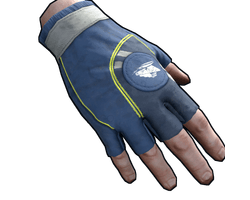 CCSC Gloves