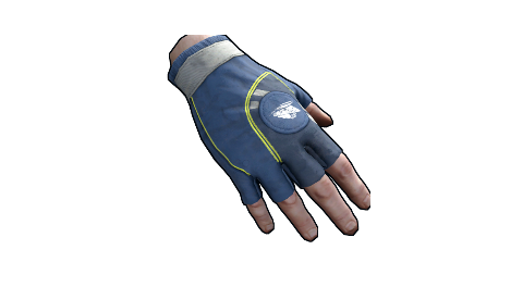 CCSC Gloves