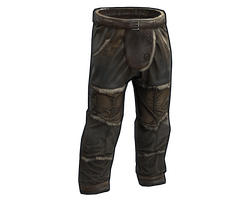 Northern Forester Pants