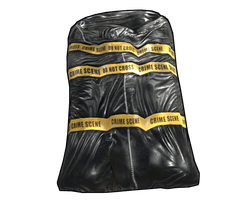Crime Bag