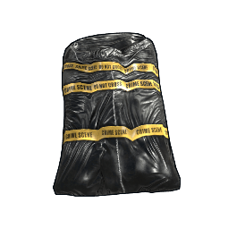 Crime Bag