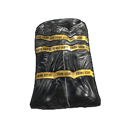 Crime Bag