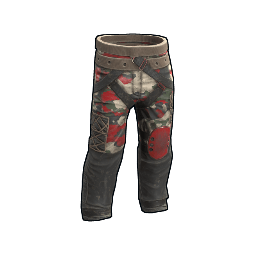 Checkpoint Pants