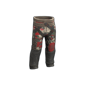 Checkpoint Pants