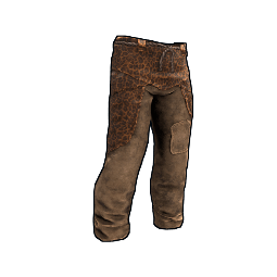 Leopard Skin Pants