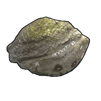 Best Friend in Rust