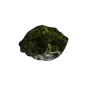 Mossy Fossil