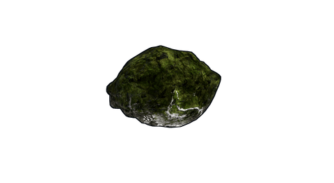 Mossy Fossil