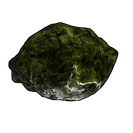 Mossy Fossil