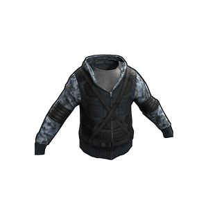 Sky Seal Hoodie