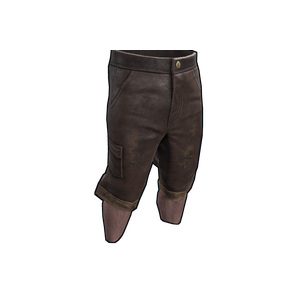 Homemade Shorts