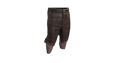 Homemade Shorts