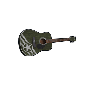 Army Acoustic Guitar