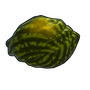 Ripe Watermelon
