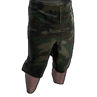 Camo Shorts in Rust