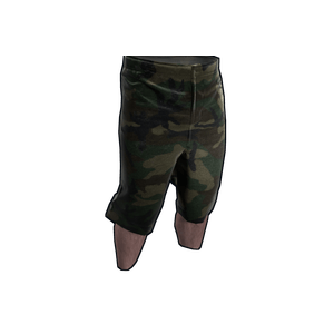 Camo Shorts