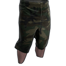 Camo Shorts