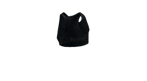Black Mesh Crop Top