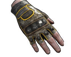 Motorcycle Gloves