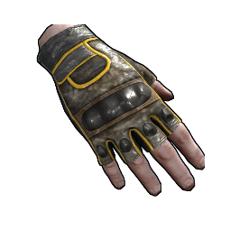 Motorcycle Gloves