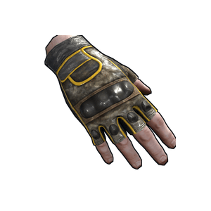 Motorcycle Gloves