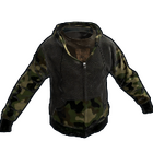 content image