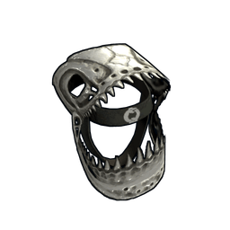 Lizard Skull