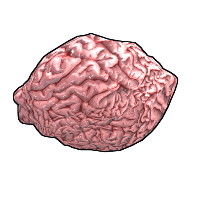 Fresh Brain in Rust