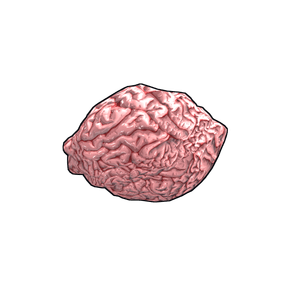 Fresh Brain