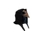 The Plague Doctor