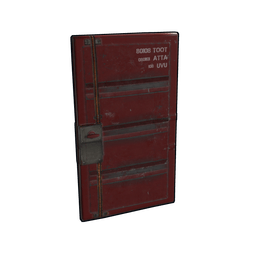 Shipping Container Door