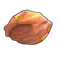 Frozen Turkey in Rust