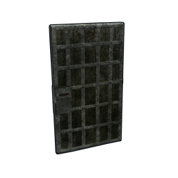 Prison Door