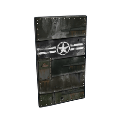 Army Metal Door