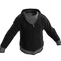 asset image