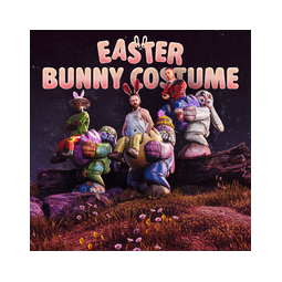 Bunny Costume