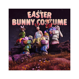 Bunny Costume