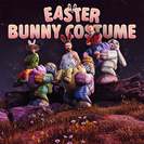 Bunny Costume