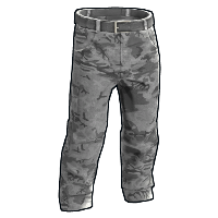 asset image